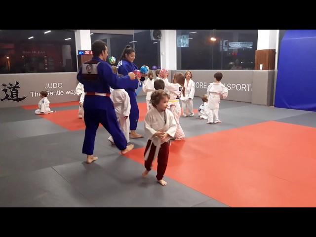 Southern Judo Academy - Mini Juniors