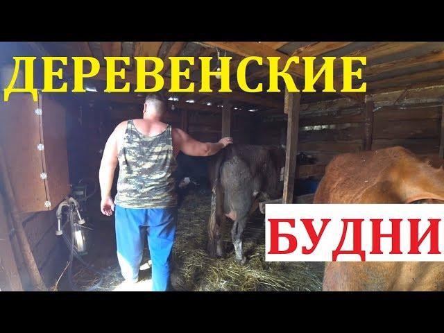 Она привыкает / Деревенские будни / Семья в деревне