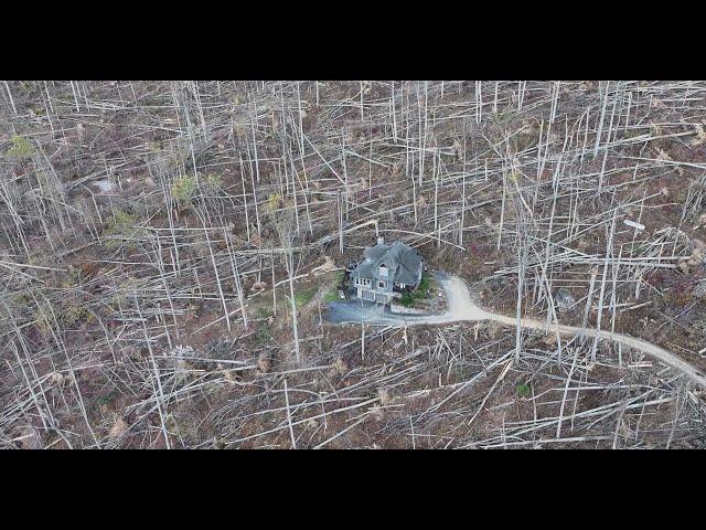 Absolutely DEVASTATING Hurricane HELENE Deforestation in Asheville, North Carolina