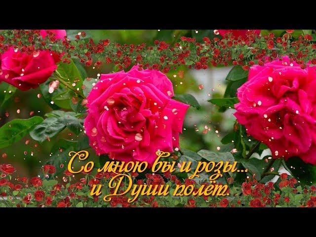 Красивой женщине! "Пройдемте в сад? Я покажу вас розам...