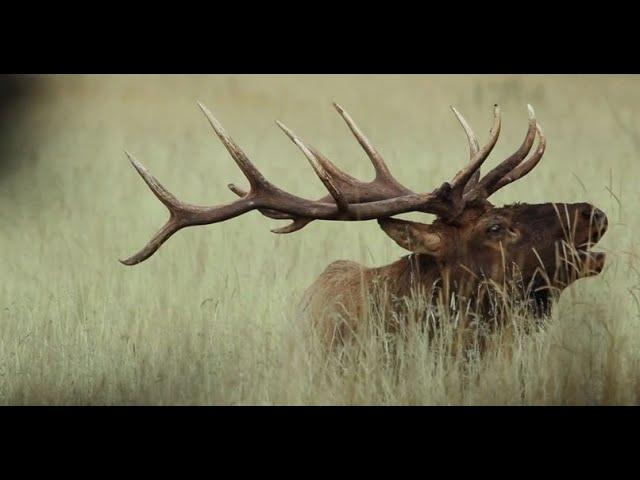 RMEF: Who We Are