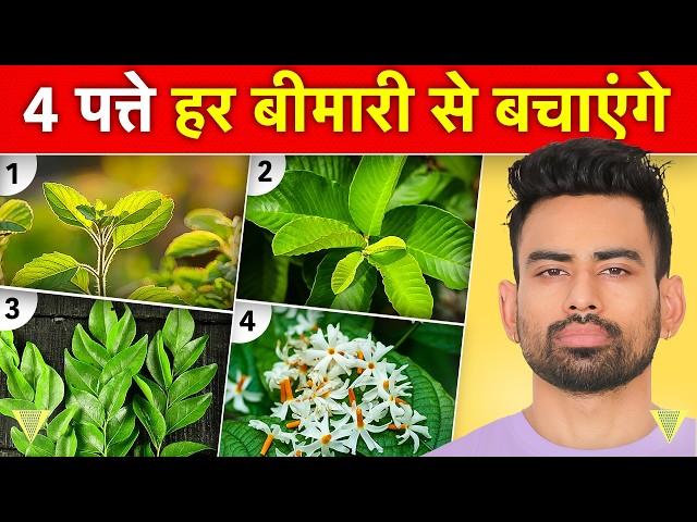 ये पत्ते आपको सैकड़ो बीमारियों से बचाएंगे - Most Effective Leaves For Good health | Fit Tuber Hindi