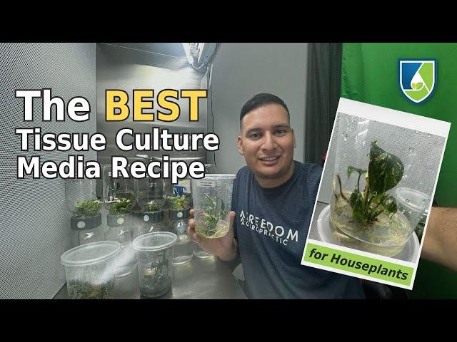 Steal My Protocol for the BEST Tissue Culture Media for Houseplants!