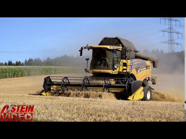 New Holland CX 780 Weizen Ernte 2020 Dreschen  - N Stein Video