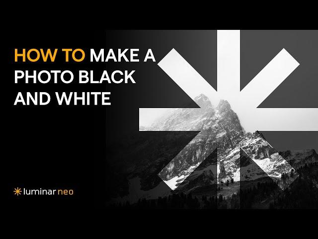 How to make a photo black and white | Luminar Neo