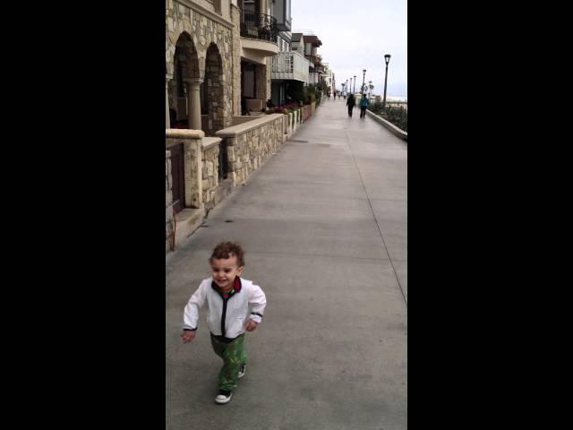 Oscar Walking the Strand