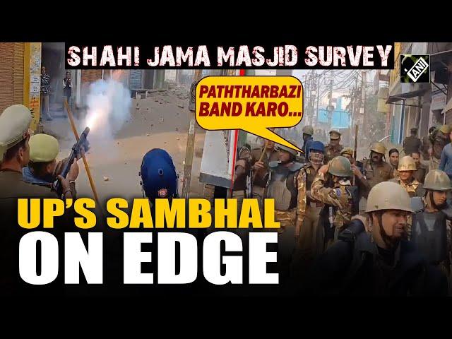 From stone pelting to tear gases: Violence erupts in UP’s Sambhal over mosque survey