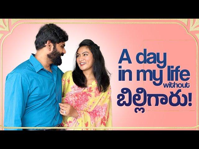 A day in my life without బిల్లిగారు! || Ashtrixx