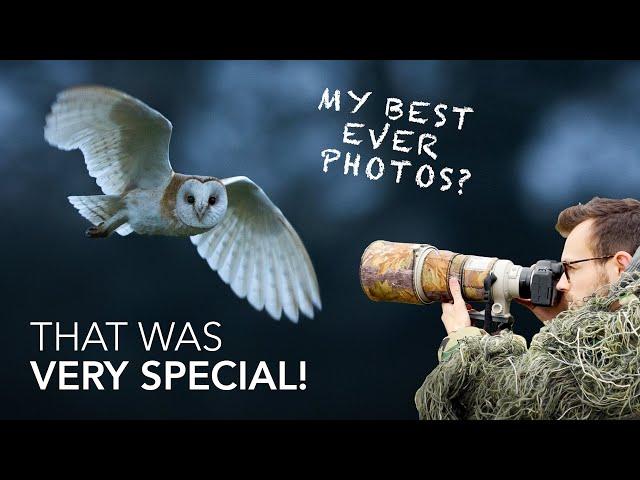 Wildlife Photography in the UK - EPIC Wildlife Encounters With Barn Owls & More!