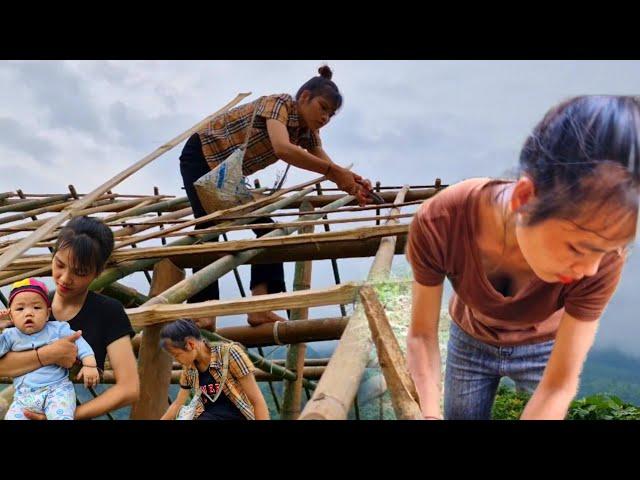 Video compilation of 20 days of building a farm phùng thiên tâm farm