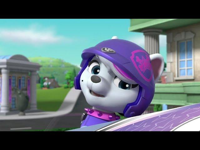 Paw patrol rescue Wheels meet Roxy!