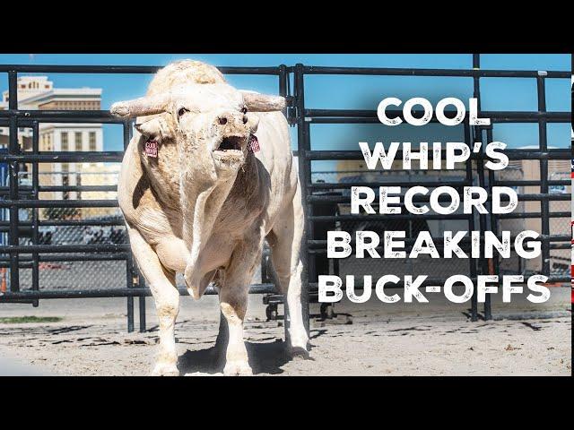 Cool Whip's Record Breaking Buck-Off Streak