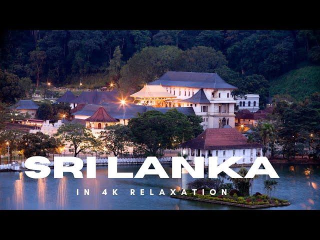 Escape to Sri Lanka: Breathtaking 4K Views for Relaxation. #thehowtoacademy