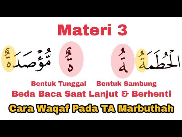 Cara Waqaf (Berhenti) Pada TA Marbuthah, Beda Saat Waqaf dan Washol, Lengkap Contoh dan Prakteknya