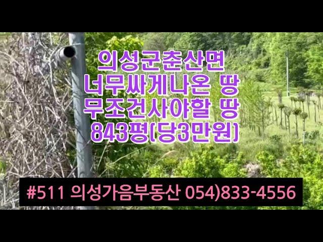 #511 의성가음부동산 개울옆 개울물철철 호두밭 밤나무밭 전기가능 843평 2500만 (당3만원) 햇살가득 동향 주말농장 농지원부용 대토용 면사무소 3분거리 #의성땅#호두밭#싼땅