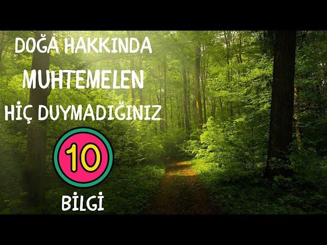 DOĞA HAKKINDA HİÇ DUYMADIĞINIZ 10 BİLGİ #doğa #doğalyaşam #doğadan #doğayasaygı #doğalgüzellik