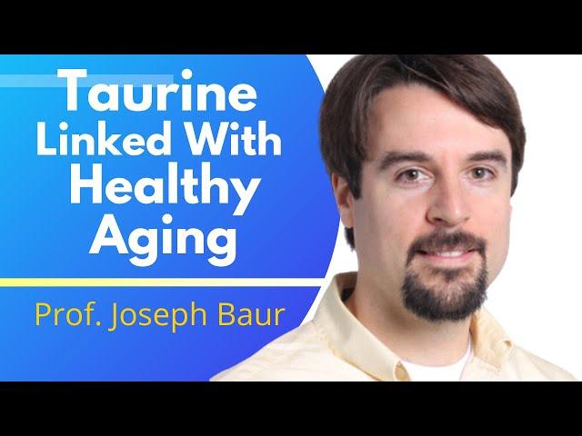 A Longevity Expert's Review Of  "Taurine Deficiency As a Driver Of Aging" | Prof Joseph Baur