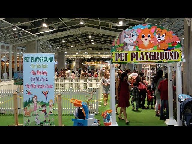 Pet Playground Living World Alam Sutera Tangsel│【宠物游乐园】印尼南丹格朗-生活世界