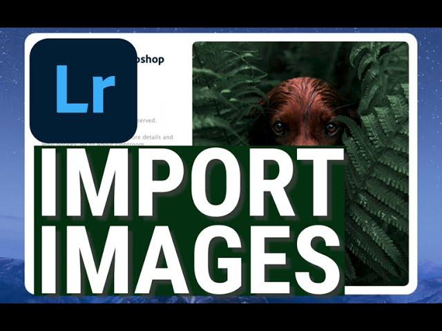 Adobe Photoshop Lightroom | Import Images | adobe lightroom 2020 beginner tutorial
