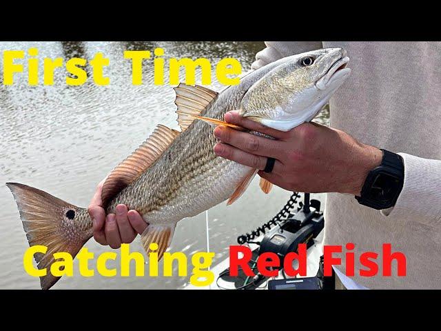 Catching Red Fish & Trout in Savannah! (Brackish Water)