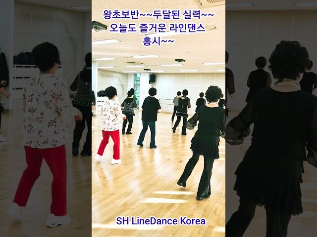 #Shorts #홍시 #왕초보반 #SH_LineDance_Korea #KLSF #대한생활체육연합회 #오늘도라인댄스