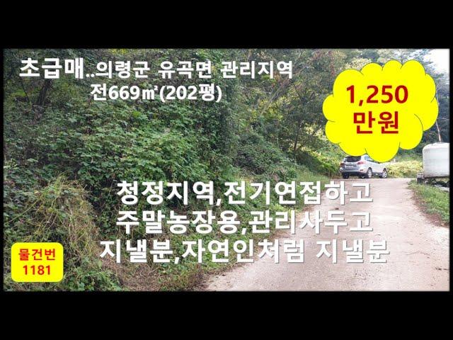 물건번1081, 의령군주말농장 ,1250만원 관리지역 669평방미터(202평) 차량진입가능 전기연접하고 산자락 아레 정말 저렴한 땅