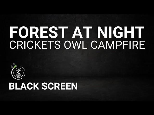 Forest Sounds at Night - Crickets, Owl, Campfire, Creek Sounds - Sleep, Relax, Yoga or Meditation