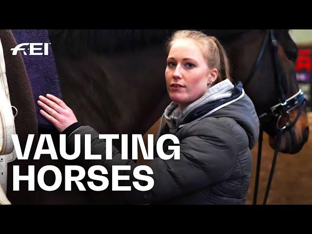 "Our Horses are Athletes as well" | Inside the Vault | Guest Vlog