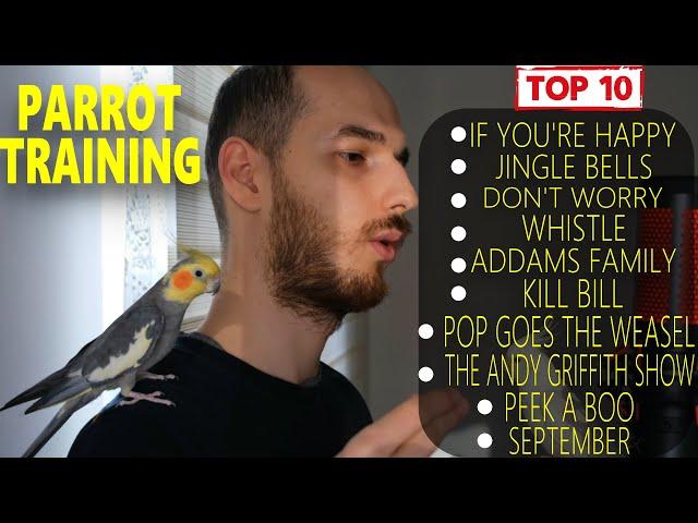 TOP 10 PARROT TRAINING SONGS EVER-Whistle Training-Teach Your Bird-Cockatiel Singing-Budgie