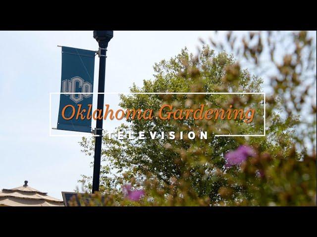 Oklahoma Gardening September 21, 2024