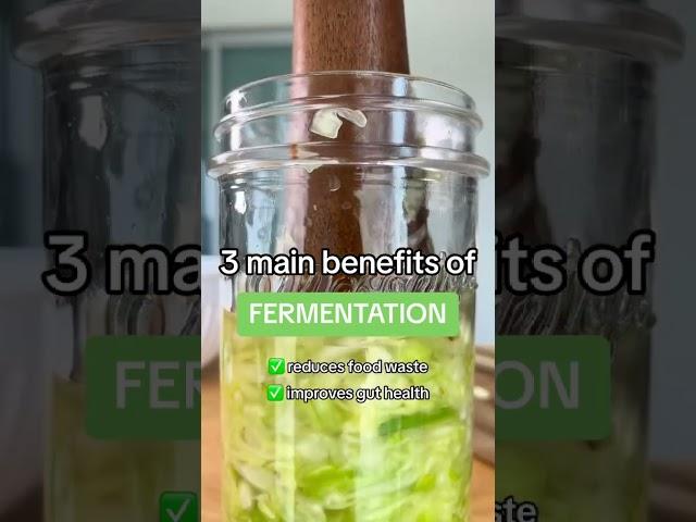 3 main benefits of FERMENTATION #shorts