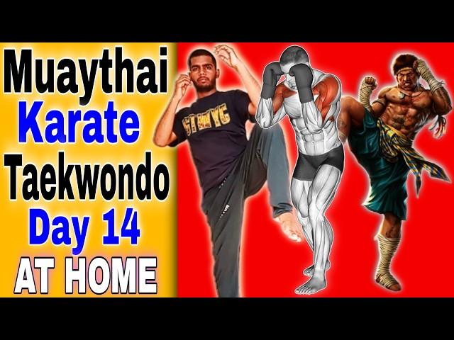 Ultimate Muay Thai Day 14: Complete Home Training for Beginners | ( No Equipment Needed )