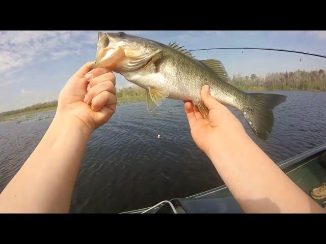 Fishing for HUGE FLORIDA BASS with Pro Fisherman, Al Laman