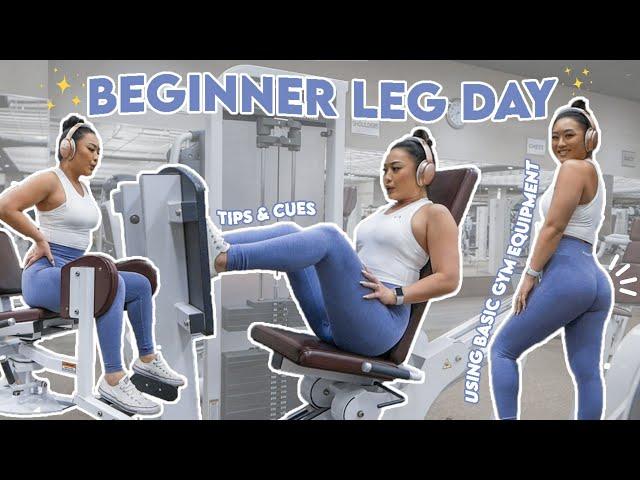 BEGINNER LEG DAY | Using Basic Gym Equipment