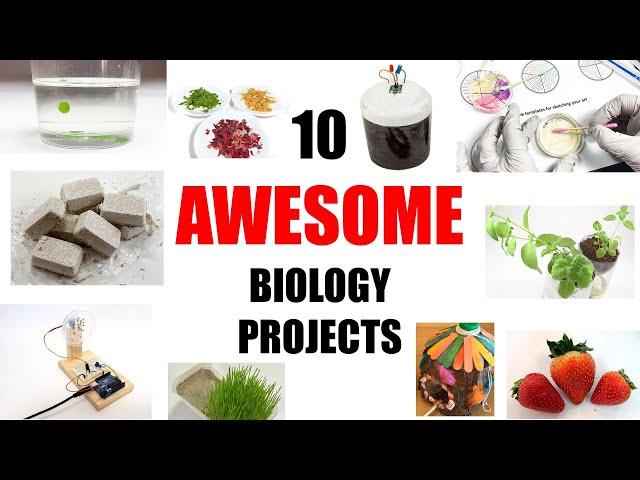 10 Awesome Biology Science Projects