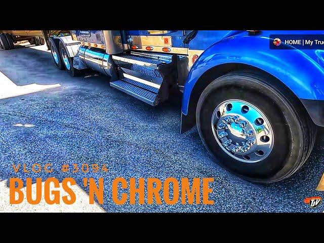 BUGS 'N CHROME | My Trucking Life | Vlog #3094