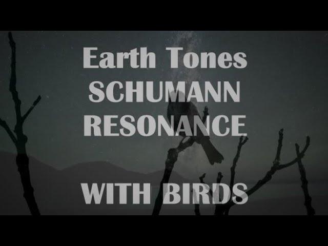 PURE EarthTones Schumann Resonance with BIRDS