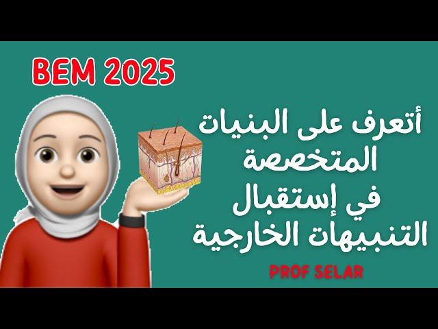 الإرتباط التشريحي للاتصال العصبي ،Bem 2025، علوم الطبيعة و الحياة.