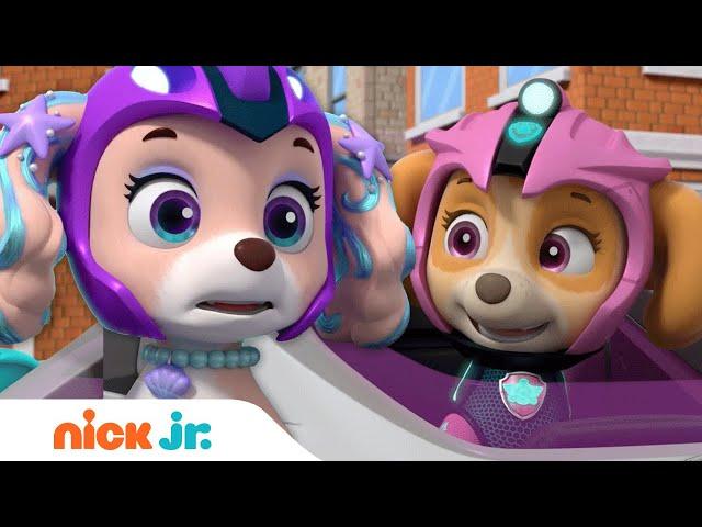 PAW Patrol Coral's Race to the Finish Line! w/ Skye, Chase & Rubble | Nick Jr.