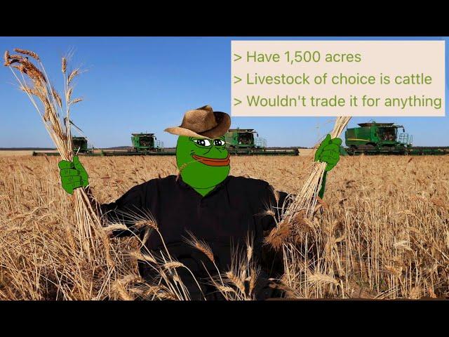 Should I Buy Land and Raise Livestock? | 4chan greentext