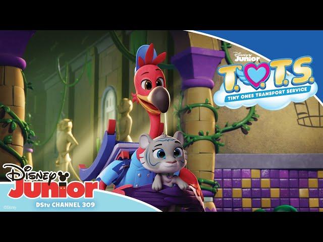 It's toothbrushing time! | ‍‍ T.O.T.S | Disney Junior Africa