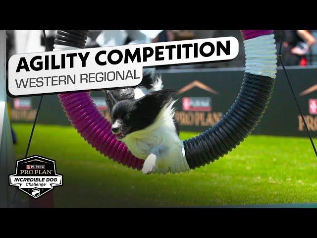 Incredible Dog Challenge: Small/Medium Dog Agility Western Regional | NBC Sports