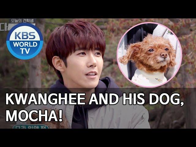 Kwanghee and his dog, Mocha! [Dogs are incredible/ENG/2020.05.27]