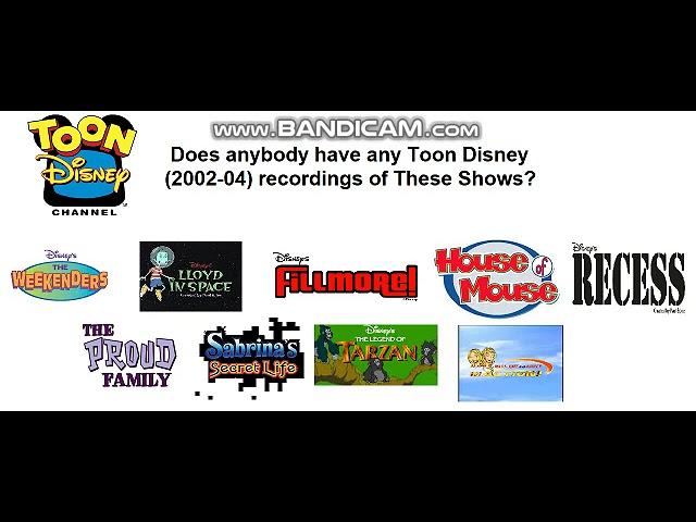 Does anybody have any Toon Disney recordings of these shows?