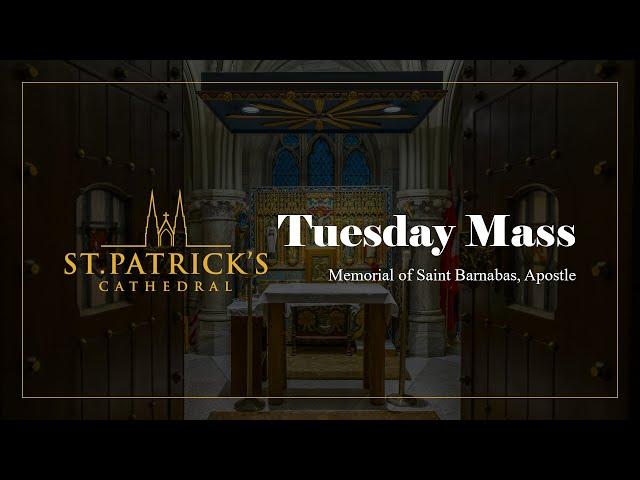 Tuesday Mass - June 11th 2024