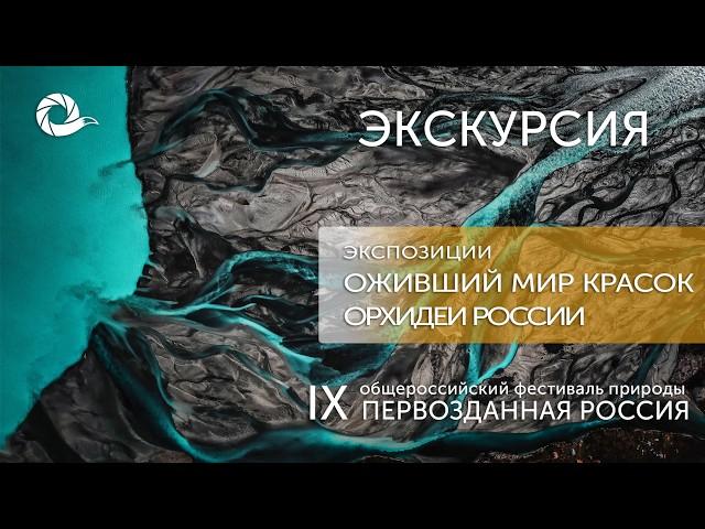 Экскурсия по IX Фестивалю. Оживший мир красок/ Орхидеи России