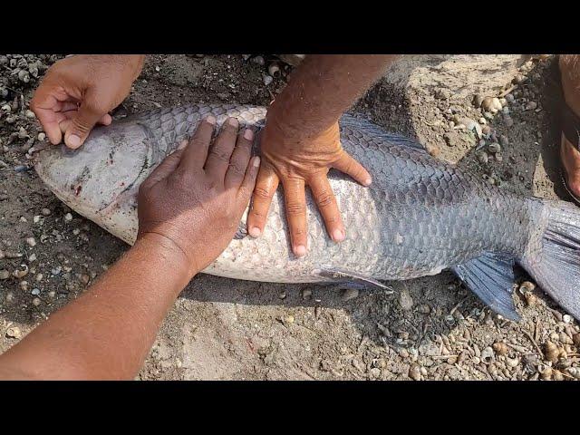 The Secrets of Single hook float fishing" 9.130kg King Size ROHUFISH"Techniques and Tips ROHUFISHING