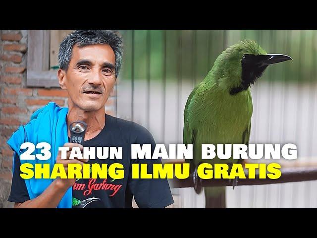 23 tahun MAIN BURUNG !! BAPAK INI SHARING ILMU CUCAK IJO GRATIS