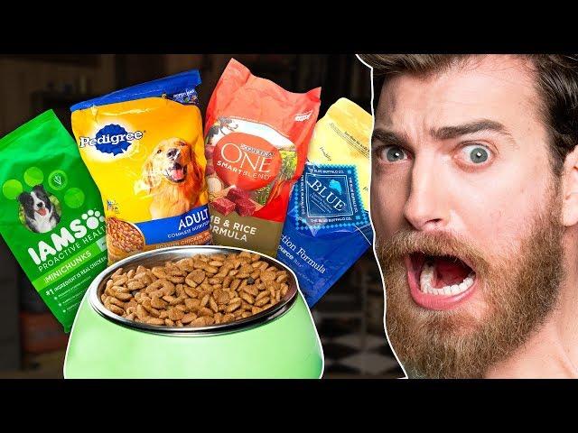 What's The Best Dog Food? Taste Test