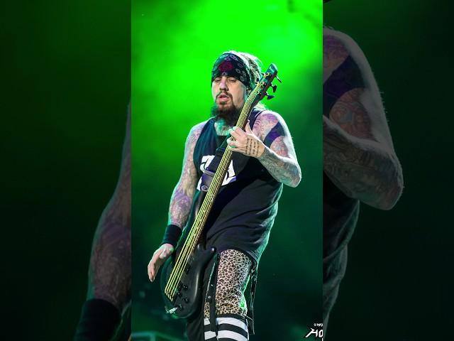 How to get Fieldy's bass tone in 30 seconds! #bass #korn